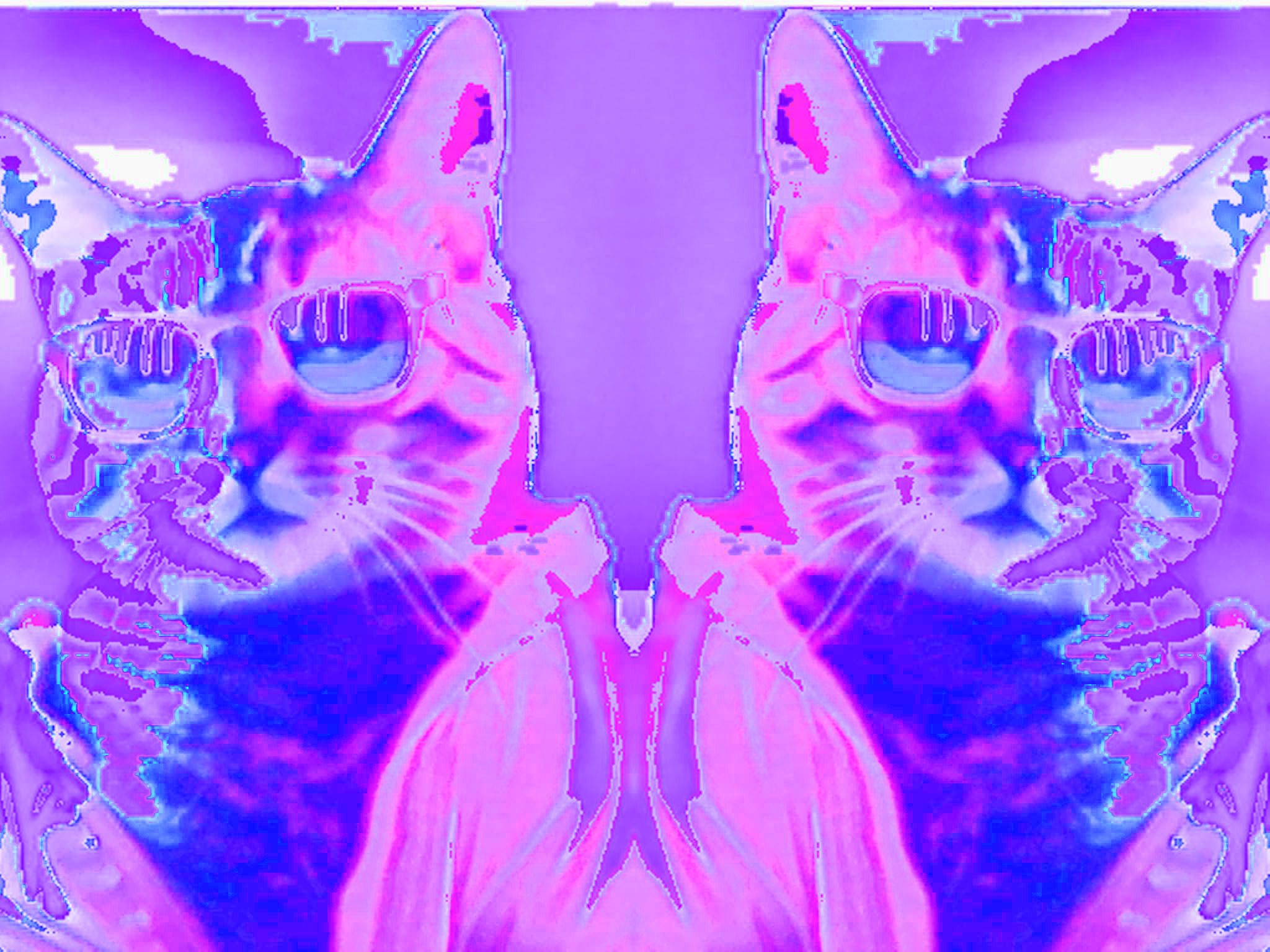 Glitch Circuit Bent Camera